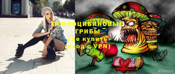 хмурый Волосово